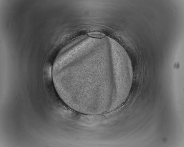 X0000100190041200806131217