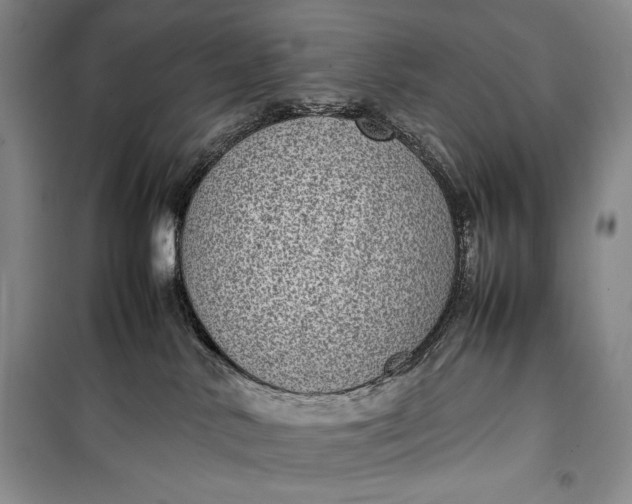 X0000100190042200806131217