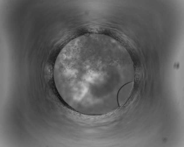 X0000100190043200806131217