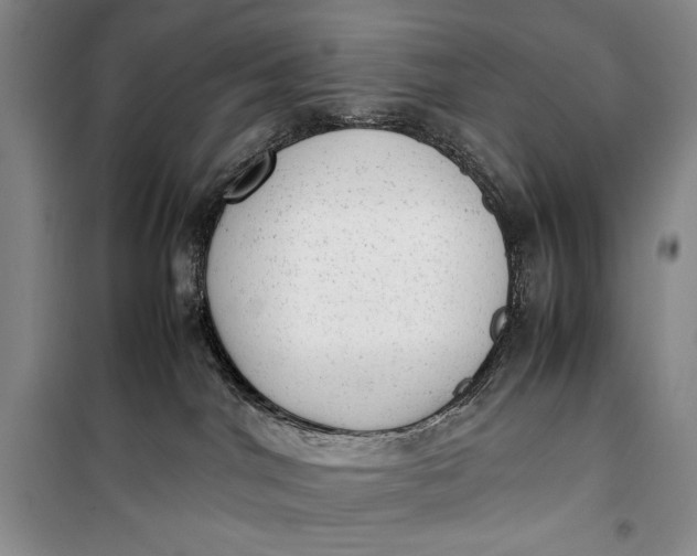 X0000100190044200806131217