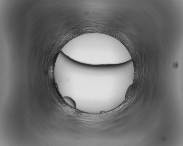 X0000100190045200806131217