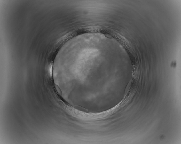 X0000100190047200806131217