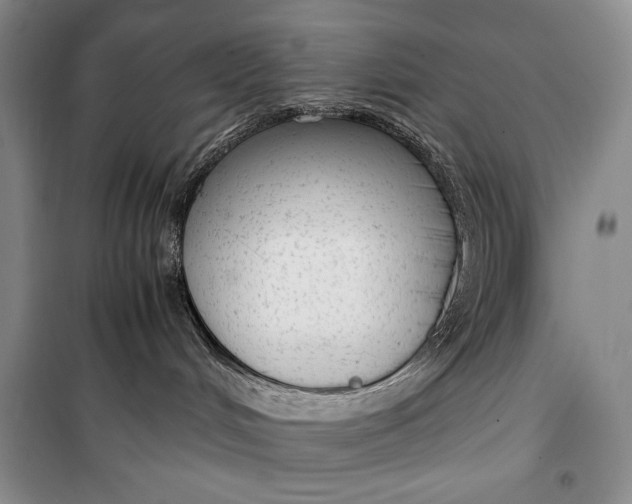 X0000100190048200806131217