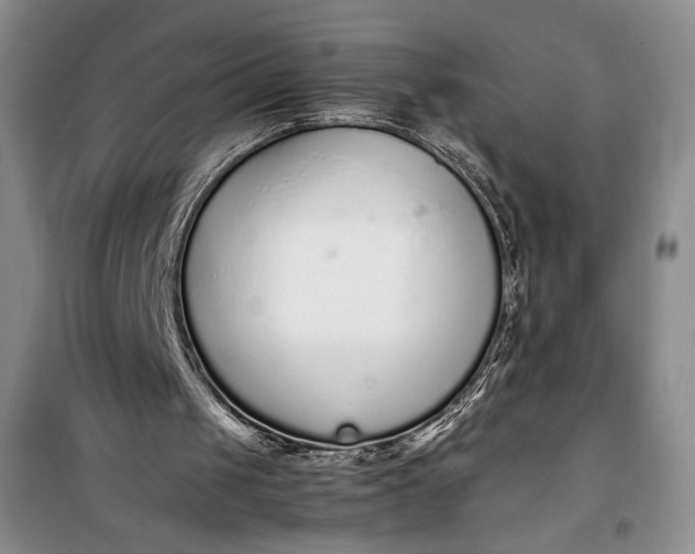 X0000100190049200806131216