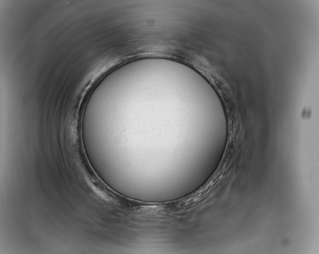 X0000100190050200806131216