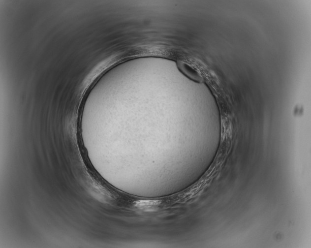 X0000100190051200806131216