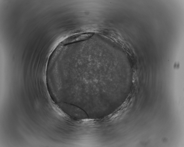 X0000100190052200806131216