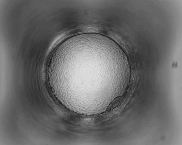 X0000100190053200806131216