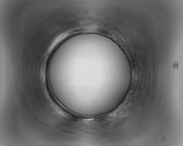 X0000100190054200806131216