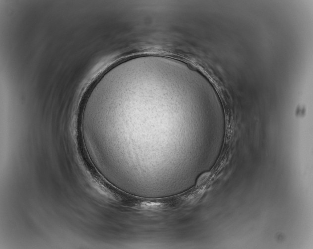 X0000100190055200806131216