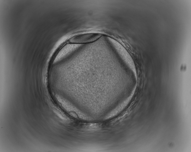 X0000100190056200806131216