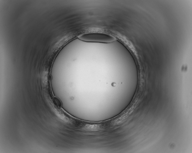 X0000100190057200806131216