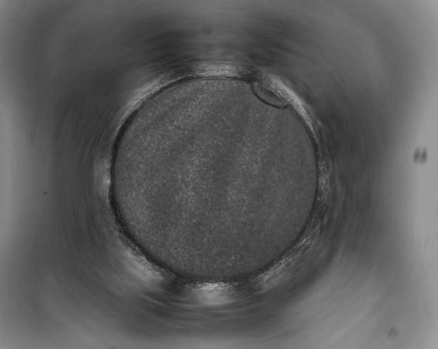 X0000100190059200806131216