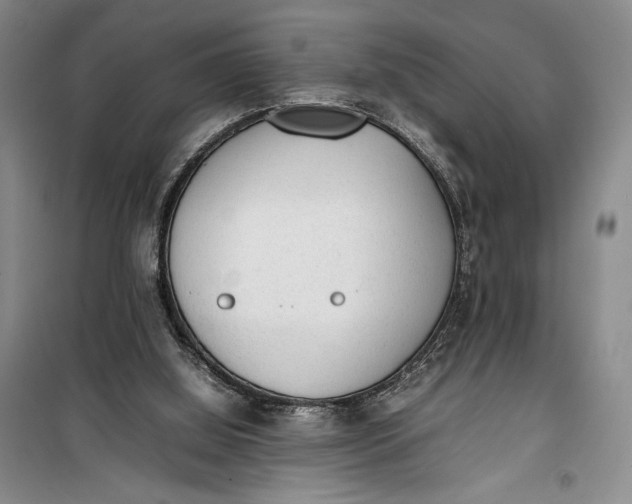 X0000100190060200806131216