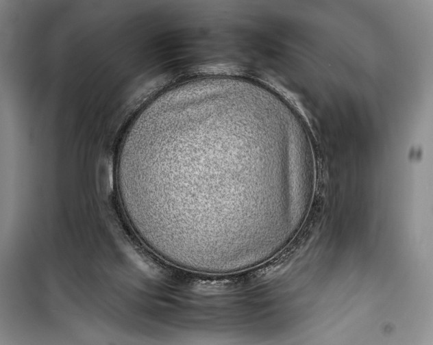 X0000100190061200806131216