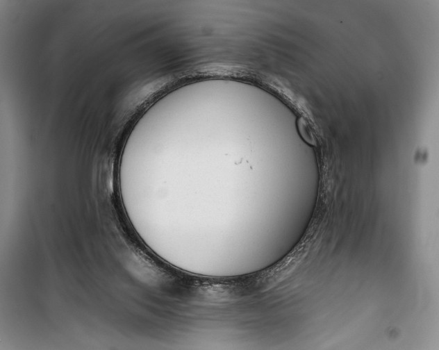 X0000100190062200806131217