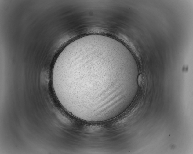 X0000100190063200806131217