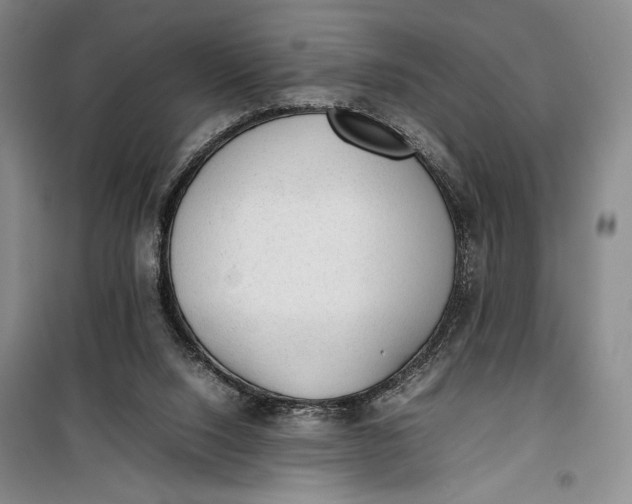 X0000100190064200806131217