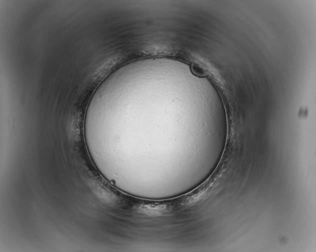 X0000100190065200806131217