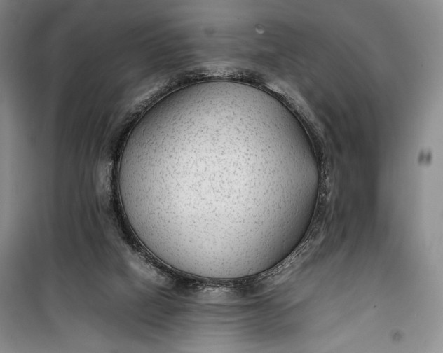 X0000100190066200806131217