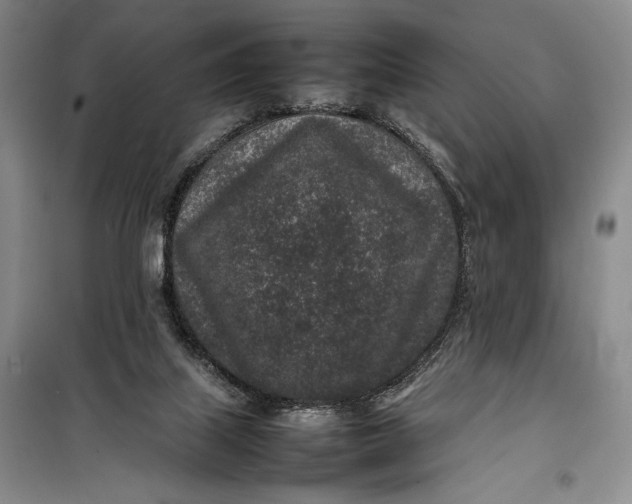 X0000100190067200806131217