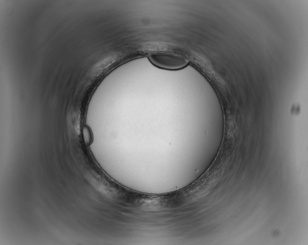 X0000100190068200806131217