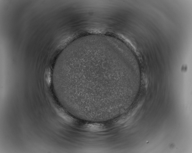 X0000100190069200806131217