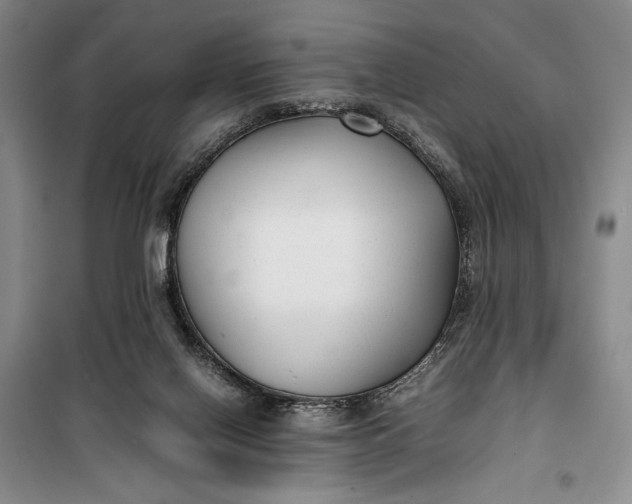 X0000100190070200806131217