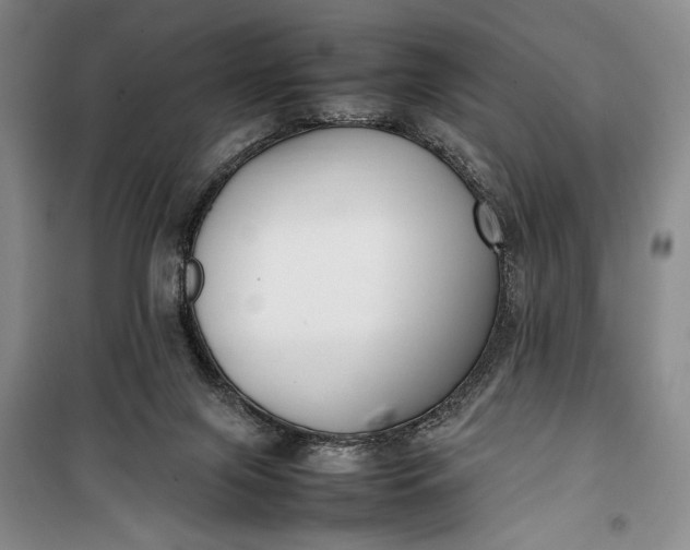 X0000100190071200806131217