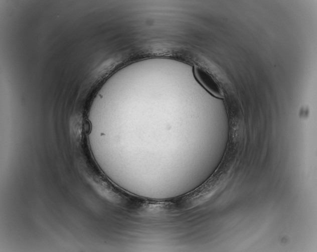 X0000100190072200806131217