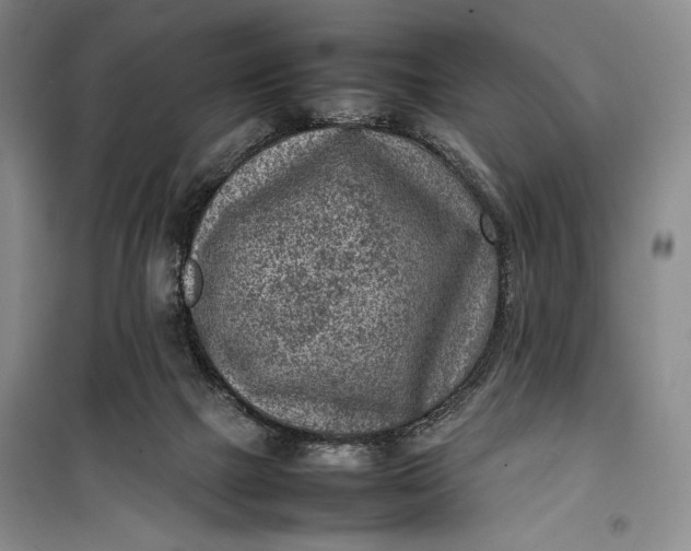 X0000100190073200806131217