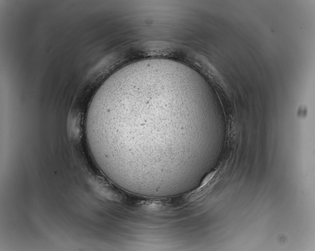 X0000100190074200806131217