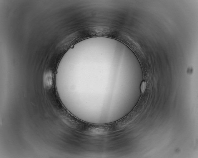 X0000100190075200806131217