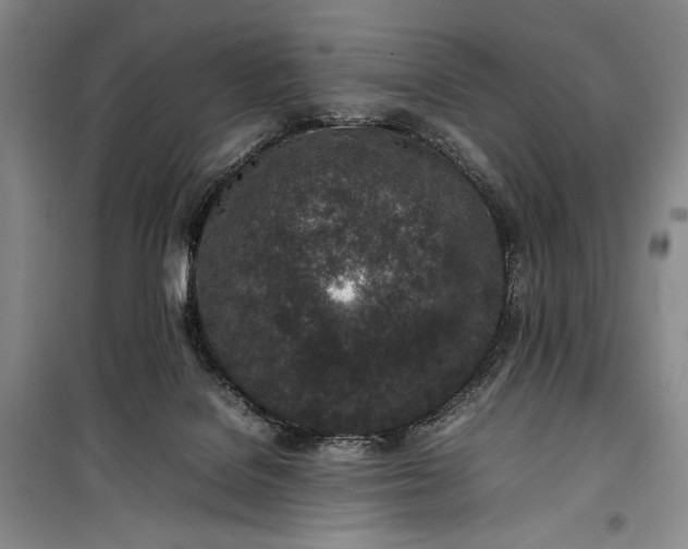 X0000100190076200806131217