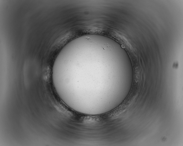 X0000100190077200806131217