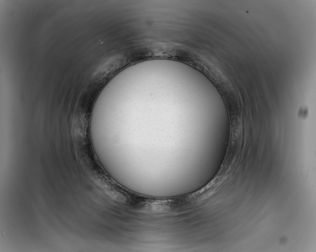 X0000100190078200806131217