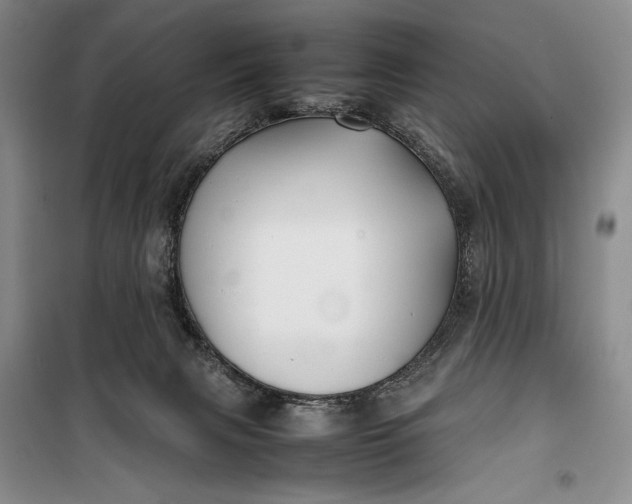 X0000100190079200806131217