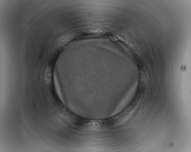 X0000100190080200806131217