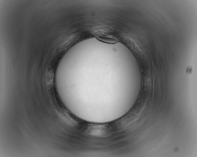 X0000100190081200806131217