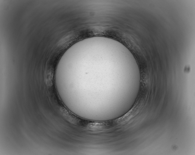 X0000100190082200806131217