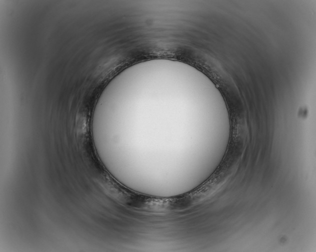 X0000100190084200806131217