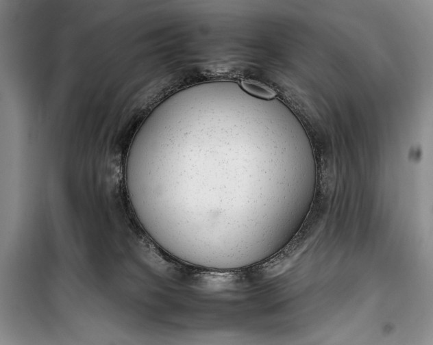 X0000100190085200806131217