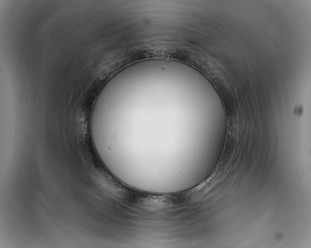 X0000100190086200806131217