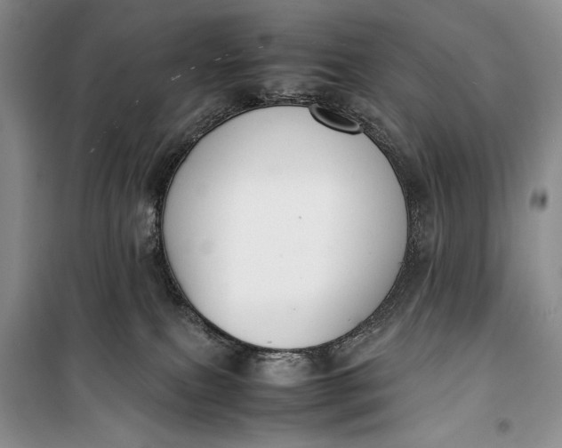 X0000100190087200806131217