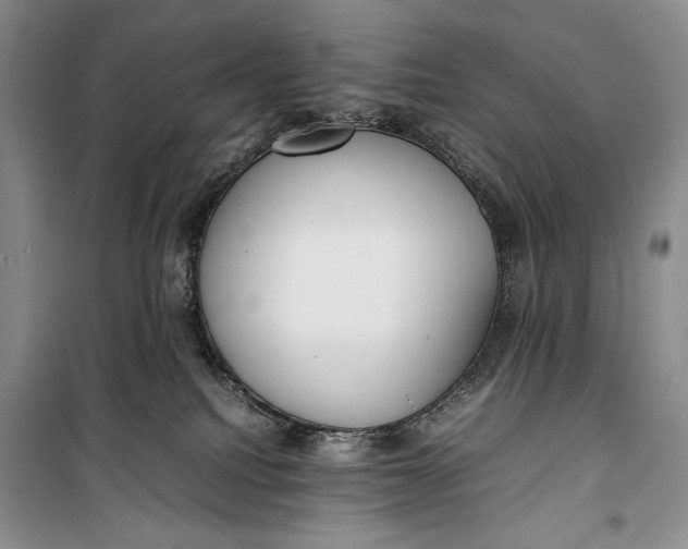 X0000100190088200806131217