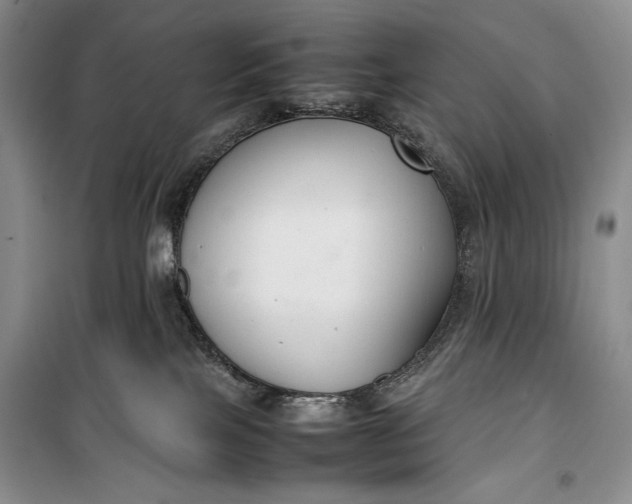 X0000100190089200806131217