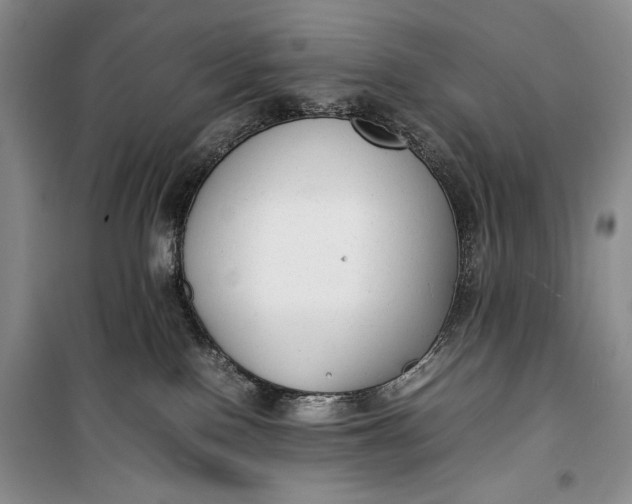 X0000100190090200806131217