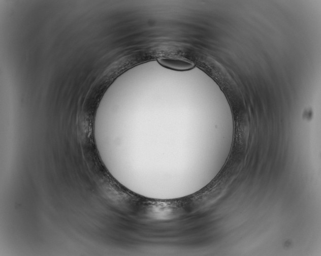 X0000100190091200806131217