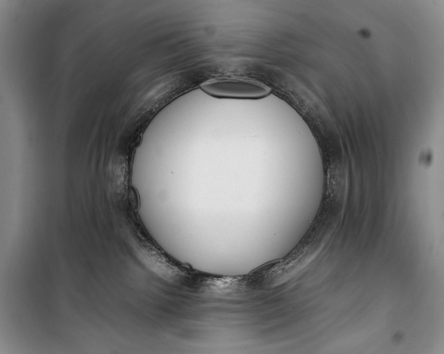 X0000100190092200806131217