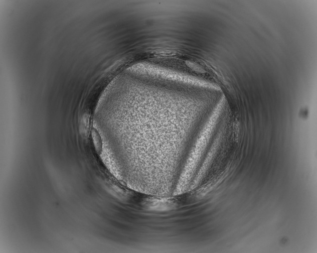 X0000100190093200806131217